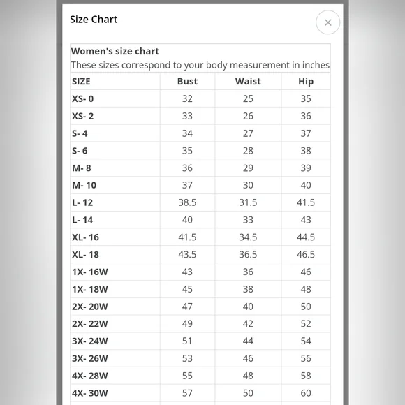 WAYWARD FANCIES eShakti Floral Vine Embroidered Dupioni Dress - Size 4X - Picture 12 of 12